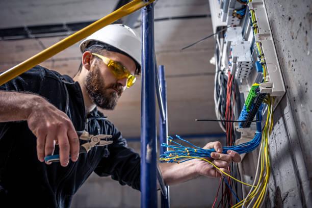 Best Licensed Electrician  in Winona, MN