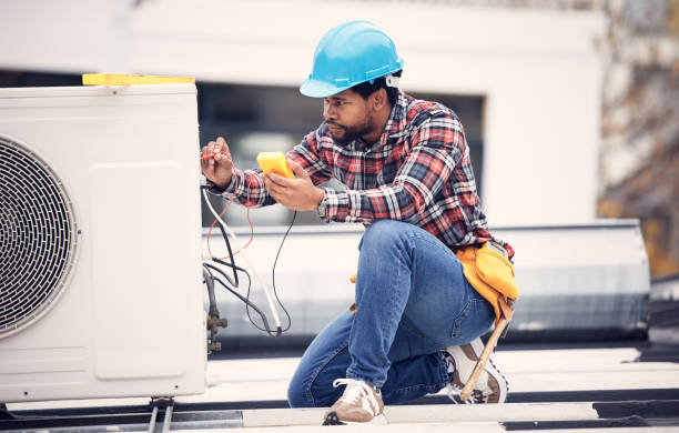 Best Residential Electrician Services  in Winona, MN