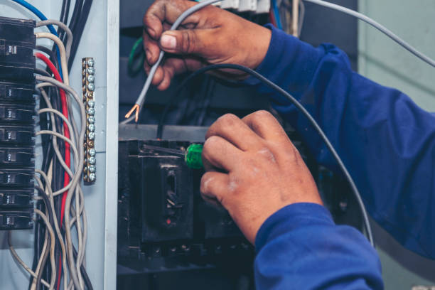 Best Home Electrical Repair  in Winona, MN