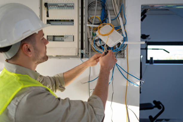 Best Ceiling Fan Installation Electrician  in Winona, MN